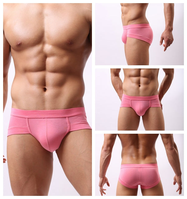 T Sumo Modal Brief