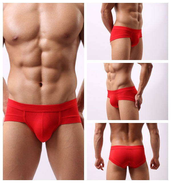 T Sumo Modal Brief