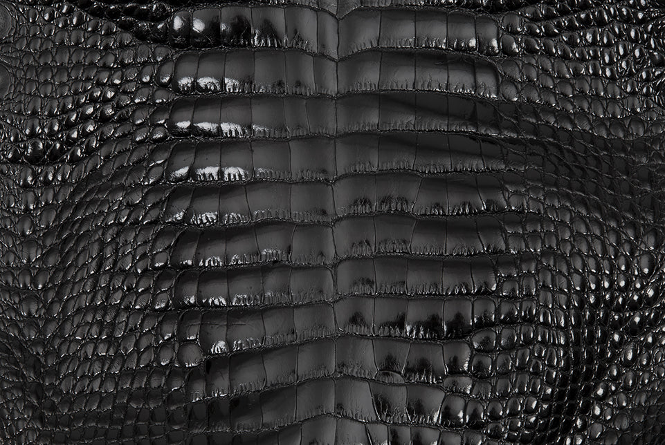 The Agassi Alligator Compact Moto Jacket
