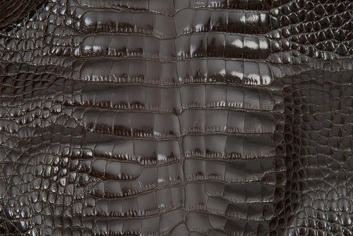 The Agassi Alligator Compact Moto Jacket