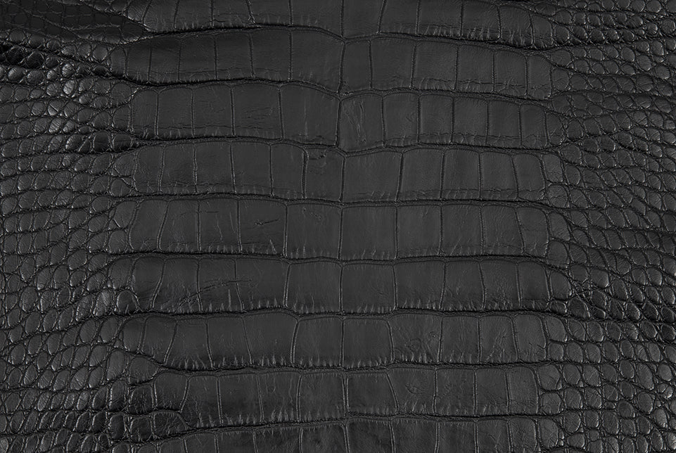 The Agassi Alligator Compact Moto Jacket
