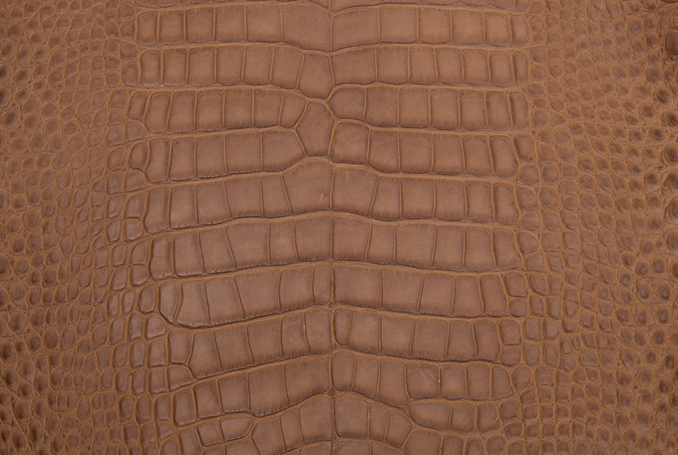 The Agassi Alligator Compact Moto Jacket