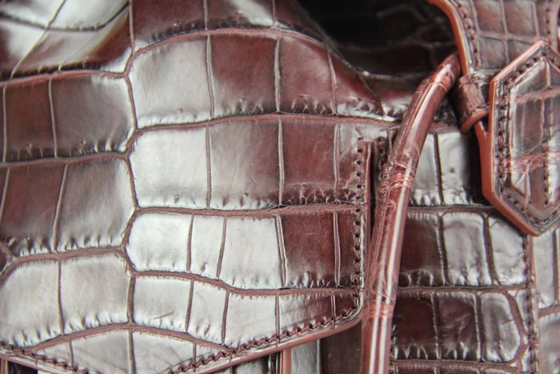 Genuine Crocodile W Backpack